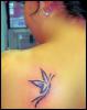 butterflys14.jpg