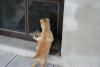 DSC00522.JPG