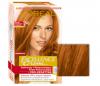 loreal_excellence_7_43.jpg