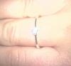 DSC00189.JPG