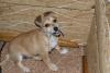DSC00634.JPG