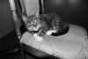 DSC00671.JPG