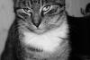 DSC00679.JPG