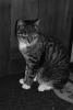 DSC00682.JPG