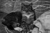 DSC00731.JPG