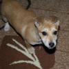 DSC00775.JPG