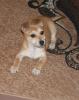 DSC00770.JPG