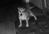 DSC00766.JPG