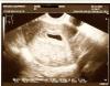 scan0001.jpg
