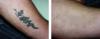 tatu3.jpg