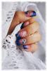 DSC05308o.jpg