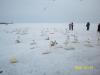 100_0249.JPG