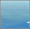 setsunaflot1rp1.gif