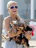 paris_hilton.jpg