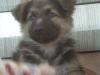 DSC00017.JPG