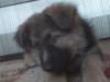 DSC00016.JPG