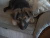 DSC00010.JPG