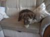 DSC00009.JPG