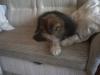 DSC00008.JPG