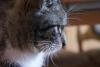 DSC01013.JPG