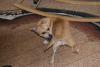 DSC01007.JPG