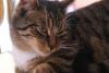 DSC01046.JPG