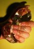 DSC05424.JPG