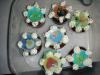 DSCN5195.JPG