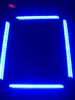 neon01-6002.JPG