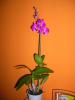 DSCN3824.JPG