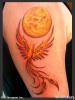 Img154245_Phenix.jpg