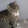 DSC01289.JPG
