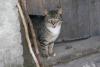DSC02291.JPG