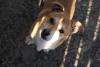 DSC02255.JPG