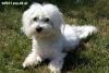 5784_176_449_maltanczyk.jpg