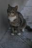 DSC02355.JPG