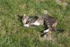 DSC02299.JPG