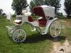 Indian-wedding-carriage1.jpg