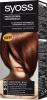 Color-5-28-Kasztanowy-braz-66733-big.jpg