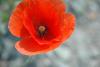 DSC_3216.jpg