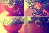 0611 035 copy-tile.jpg