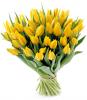 tulipany1.jpg