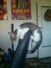 DSC01919.JPG