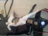 DSC00054.jpg