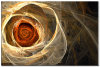 GD_Canvnnas.png
