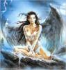 123320rod_pbook_fallen_angel-details[1].jpg
