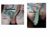 tatuazroku.jpg