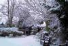 council_garden_winter.jpg