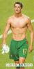 from-fans-003.jpg