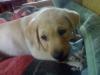 20080823556.jpg